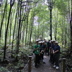 200 Mangrove Trees Planting-1