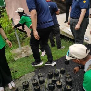 200 Mangrove Trees Planting-11