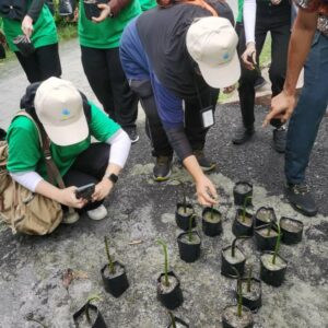 200 Mangrove Trees Planting-18