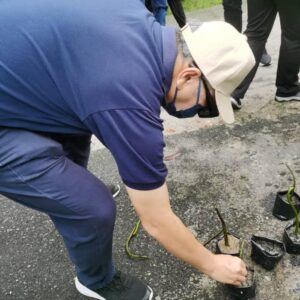 200 Mangrove Trees Planting-19