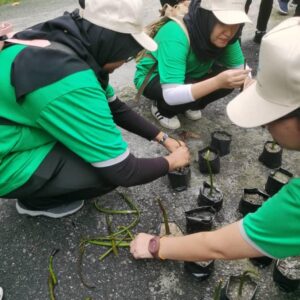 200 Mangrove Trees Planting-21