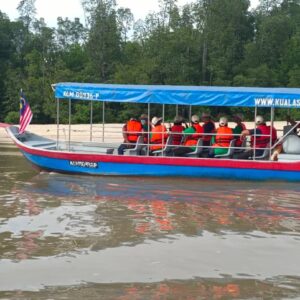 200 Mangrove Trees Planting-24