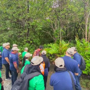 200 Mangrove Trees Planting-30