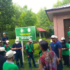 200 Mangrove Trees Planting-31