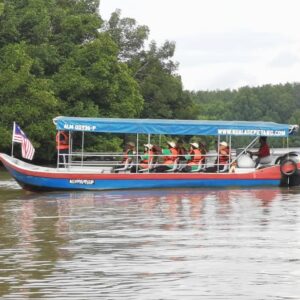 200 Mangrove Trees Planting-37