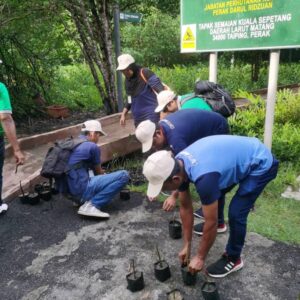 200 Mangrove Trees Planting-38