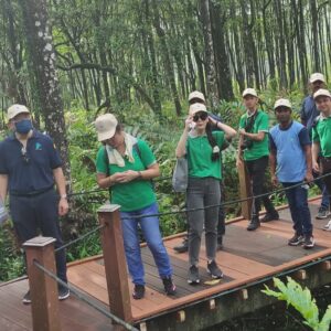 200 Mangrove Trees Planting-48