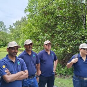 200 Mangrove Trees Planting-49