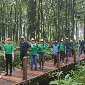 200 Mangrove Trees Planting-50