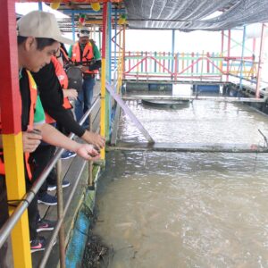 200 Mangrove Trees Planting-54