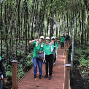 200 Mangrove Trees Planting-64