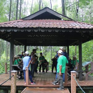 200 Mangrove Trees Planting-66